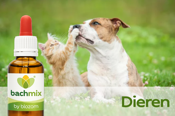 Bachbloesems voor dieren