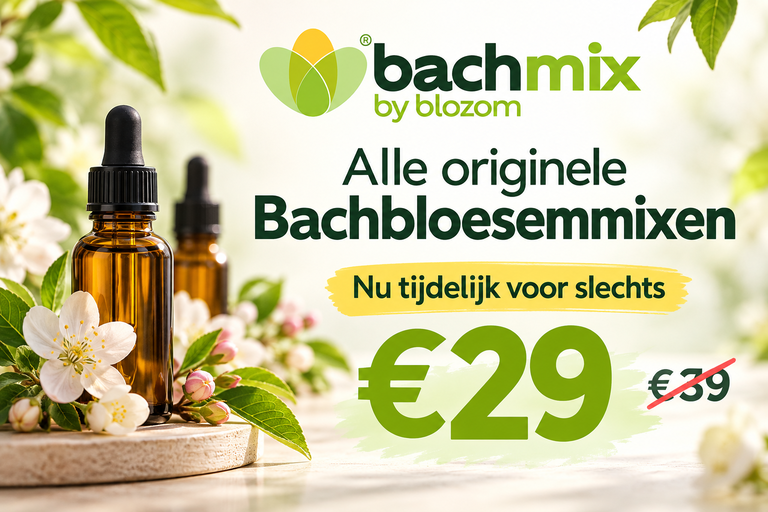 Bachmix
