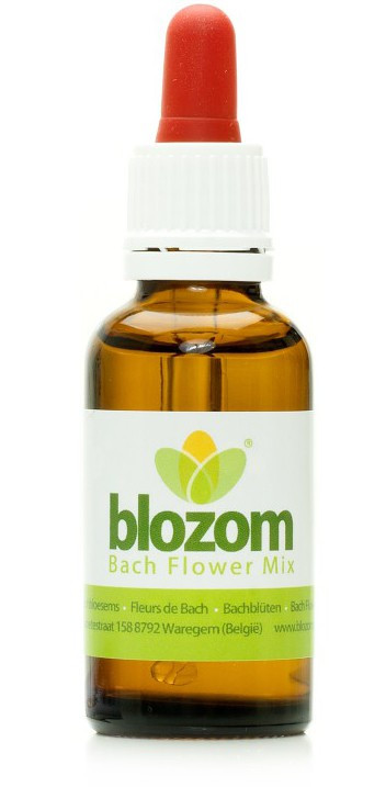 Bachmix_1x50ml.jpg