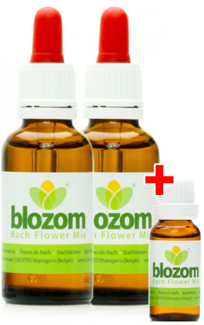 blozom_Bachbloesemmix_2_flesjes.jpg